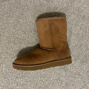 Hazelnut Uggs
